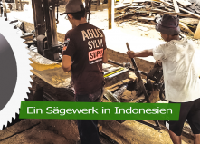 Ein Sägewerk in Indonesien